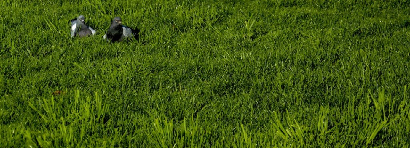 header-2016-03