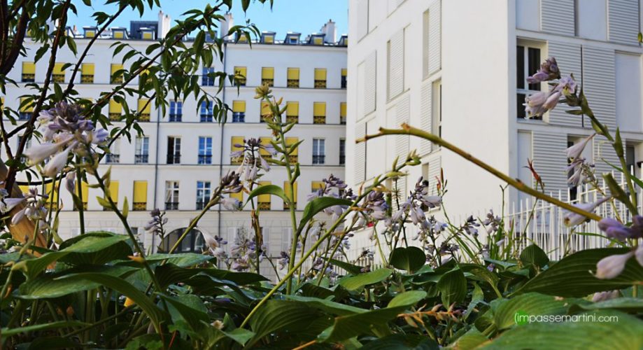 urbanisme impasse MartiniYilmaz Guney Paris 10